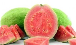 网红水果爆料视频大全下载,揭秘热门水果视频大全下载攻略