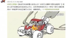 电动汽车诈骗事件最新爆料,揭秘连环骗局，车主权益如何保障？